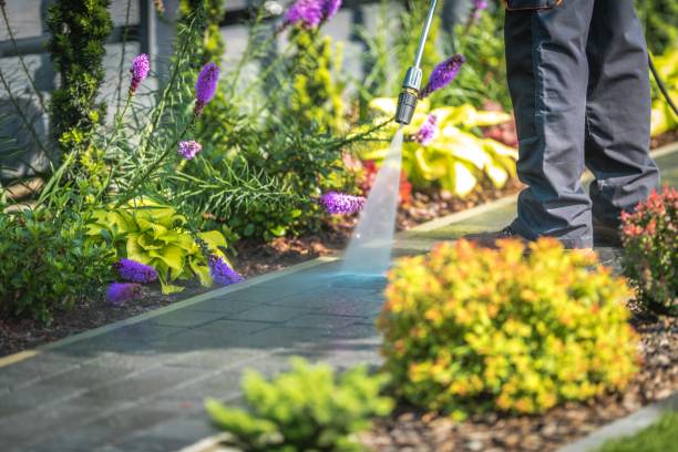 Best Fence Cleaning  in South Glens Falls, NY